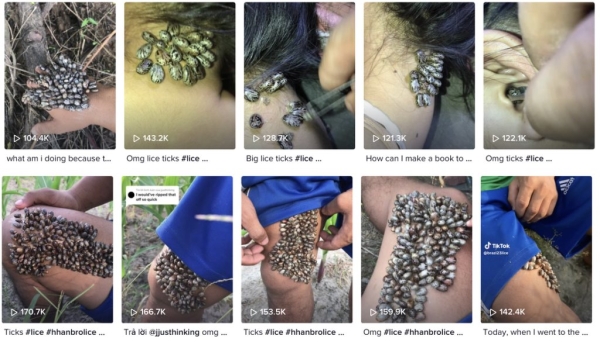 Что за дичь? В TikTok десятки миллионов просмотров набирают ролики «коллекционеров клещей»