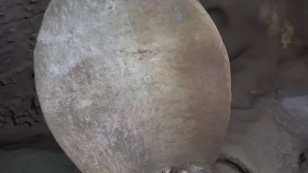 Посмотрите на фото обломков «Титаника», которые вы никогда раньше не видели Посмотрите на фото обломков «Титаника», которые вы никогда раньше не видели