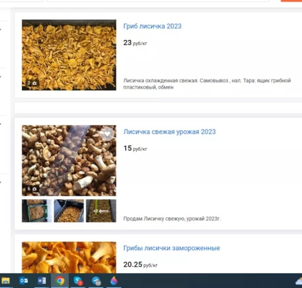 В четыре раза дороже: белорусские лисички появились в магазинах Германии