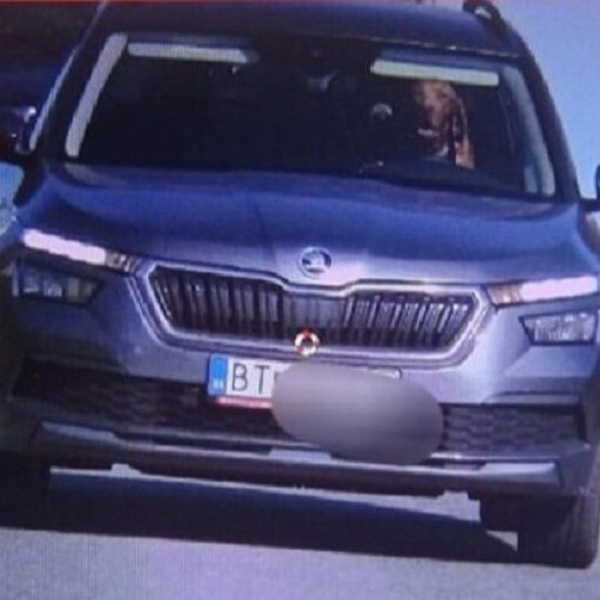 Собака за рулем превысила скорость в Словакии Собака за рулем превысила скорость в Словакии