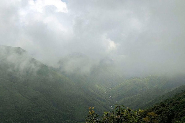 Назван самый дождливый город в мире