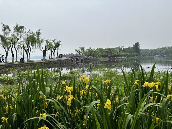 На каких машинах гоняют сами китайцы? Удивитесь, но в топе не только бренды из КНР!