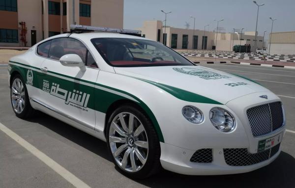 Топ-10 роскошных полицейских автомобилей Дубая Топ-10 роскошных полицейских автомобилей Дубая