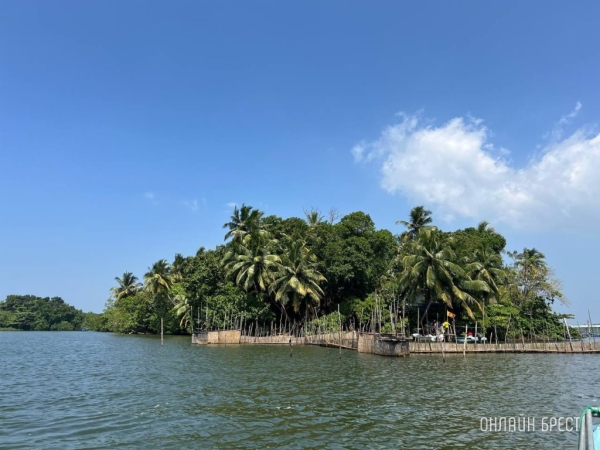 Самый крупный штраф в истории Шри-Ланки наложили на двух туристов. Узнайте, за что Самый крупный штраф в истории Шри-Ланки наложили на двух туристов. Узнайте, за что